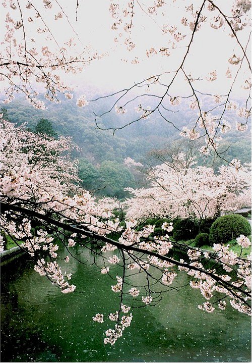 J̊⍑.jpg (160522 oCg)