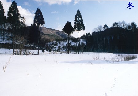 ~̒@b̑Ձ@ɂ̓OnEXRˌ܂